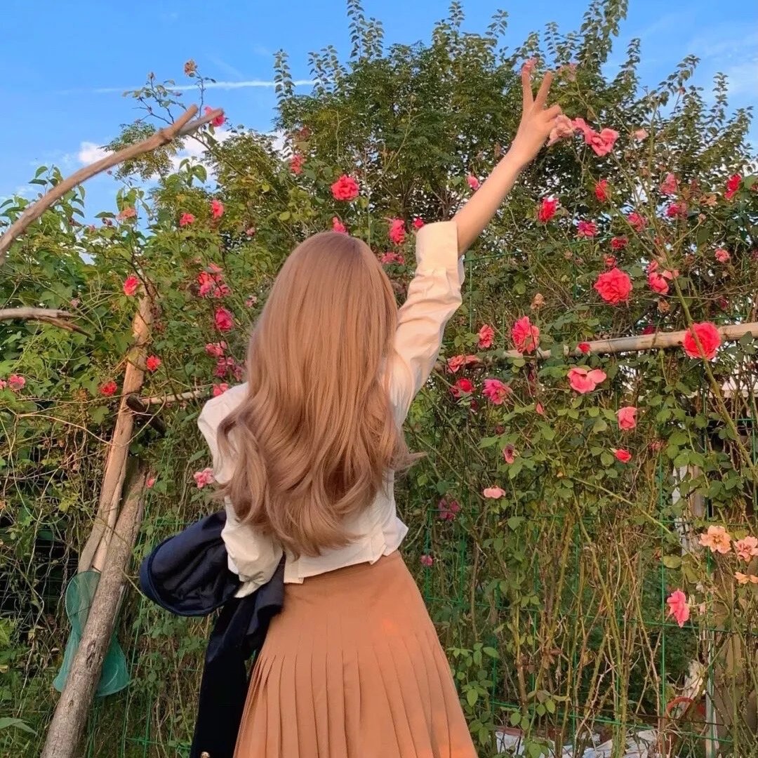 夏日菊花茶