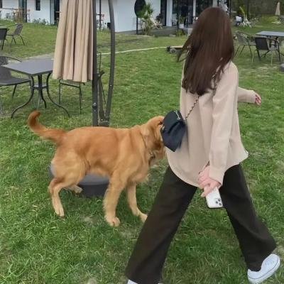 林冲粤语